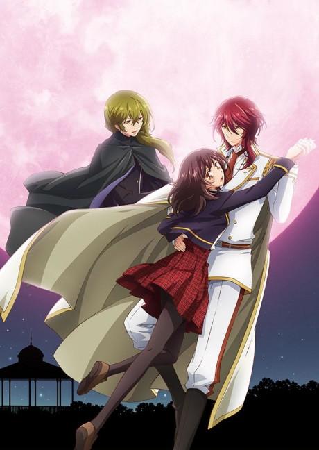 Animes parecidos a Akagami no Shirayuki Hime  Anime romance,  Recomendaciones de anime, Arte anime bello