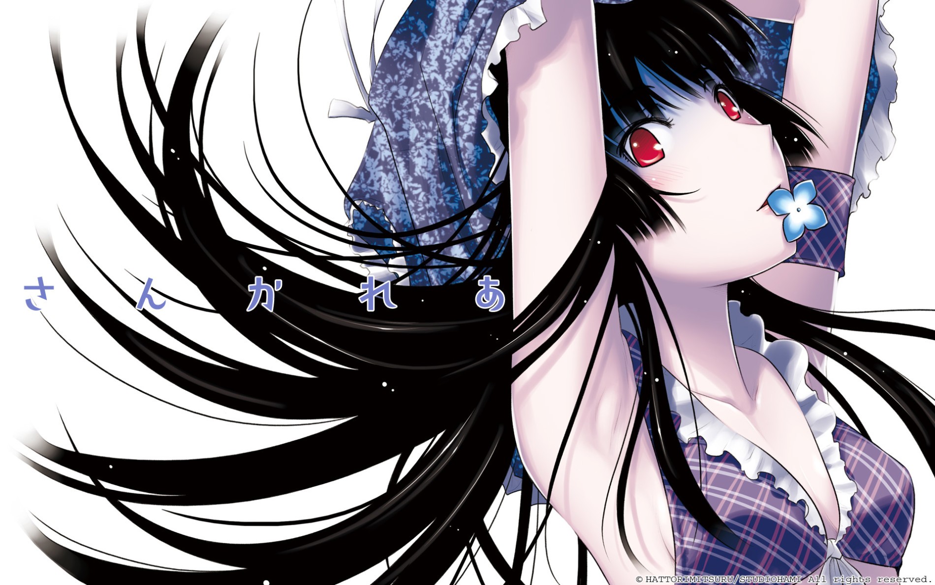 Sankarea and dusk maiden of Amnesia monster romance anime