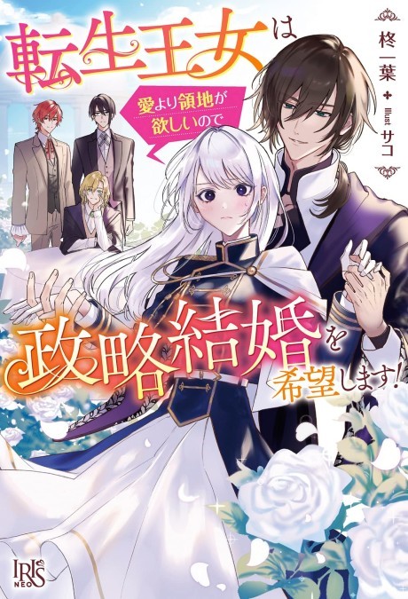 Light Novel Like Yuusha-sama ni Ikinari Kyuukon sareta no desu ga