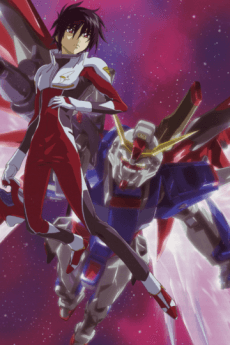 Kidou Senshi Gundam SEED DESTINY Special Edition